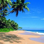 Negombo Beaches