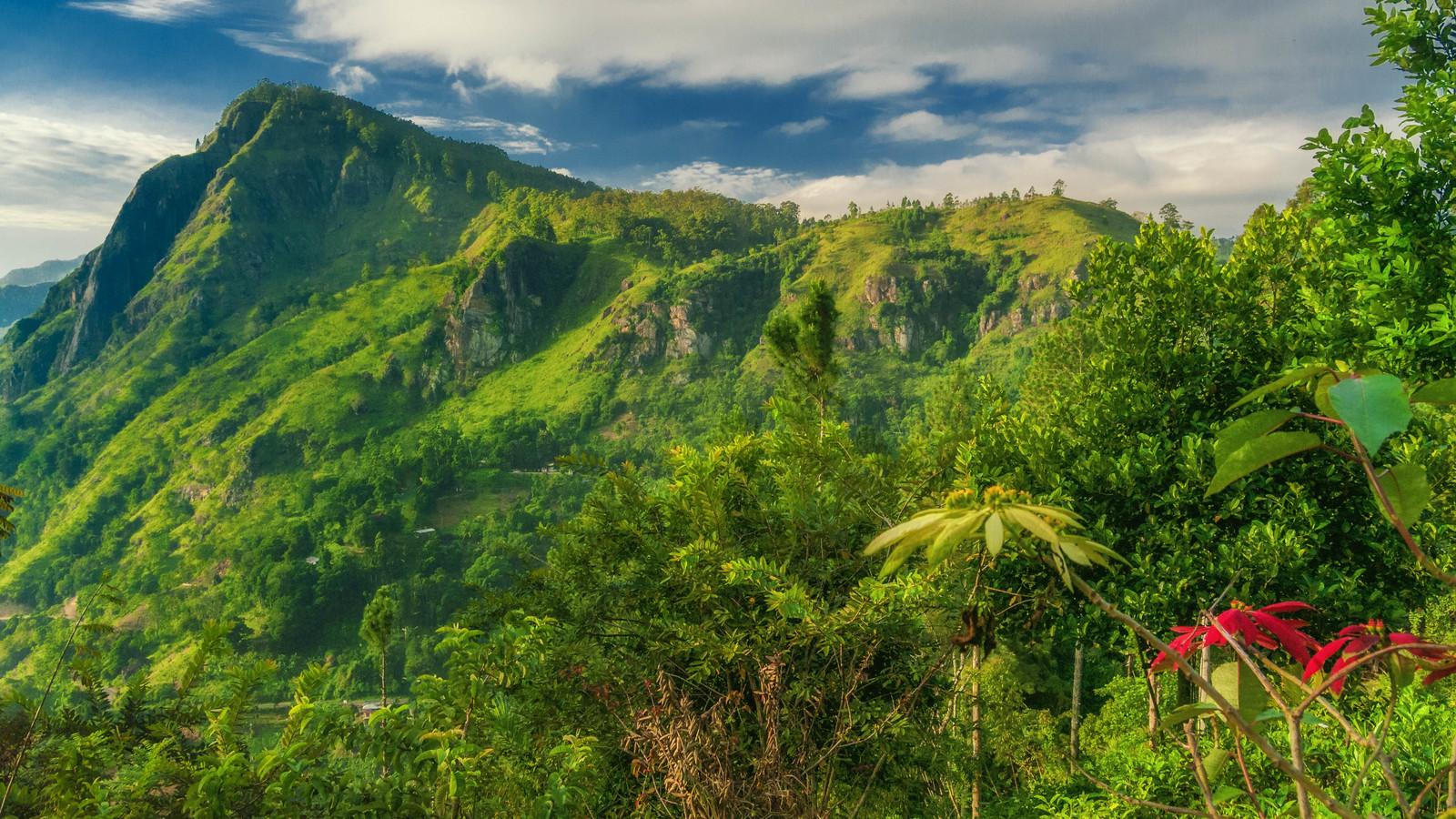 The Lush green hills in Central Sri Lanka